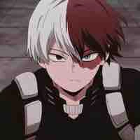 Todoroki shoto