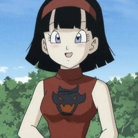 Videl