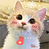 tác giả mèo cuti<3