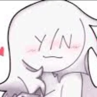 Y/ N
