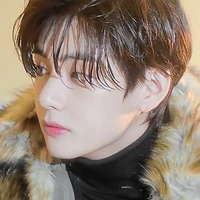 Taehyung [ V ]