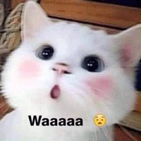 T/g chua như muối hảo hảo🥨