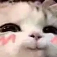 TG