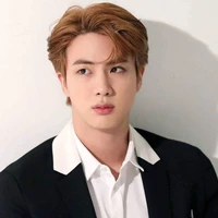 SeokJin [Mẹ Anh]