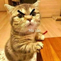 Tác giả