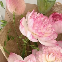 Thik đường nhưng muốn ngược