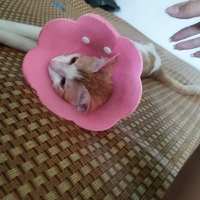 Nhóm Hà