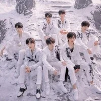 all các anh(-cậu)