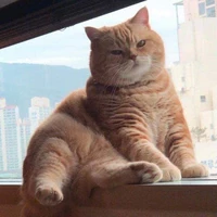 tác giả chảnh chó