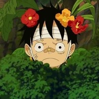 Luffy(7tuổi)