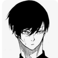 Rin Itoshi