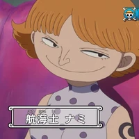 Nami ( fake)