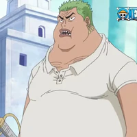 zoro ( fake)