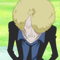 sanji ( fake)