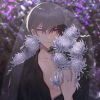 Nemo Chrysanthemum