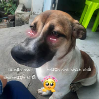 Con tác giá