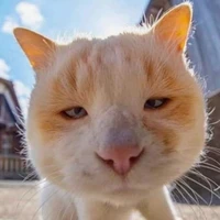 Hệ thống ( 011 )