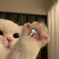 tác giả