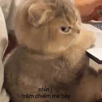 tg