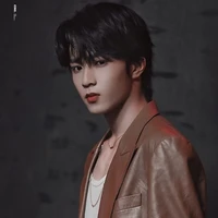 Lưu Diệu Văn(Anh7)