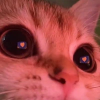 Lười quá ikkk..(⁠ ⁠≧⁠Д⁠≦⁠)