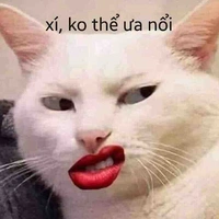Pà zà tác giả mê bl:)