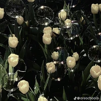 Yu_Cair