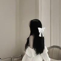 seo_y/n