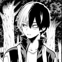 Todoroki Shoto