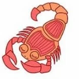 Bọ Cạp