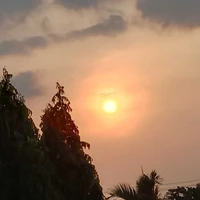 Tác giả