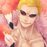 Doflamingo