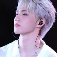 Lưu Diệu Văn