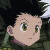 Gon Freecss