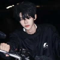 Lãnh Sư Tử