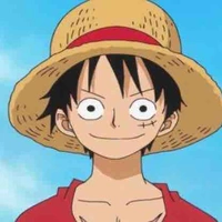 Monkey D Luffy