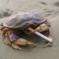 Hồ Ngọc Tú Nhi [Cam]