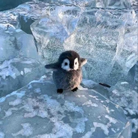 Cánh cục xào bơ 