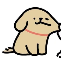 nvp