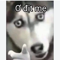 tác giả quyền lực