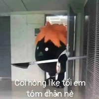 t/g cutii