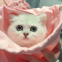 hệ thống (mini)