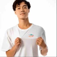 Văn toàn 