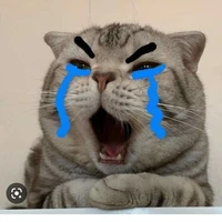 all công>trừ ai thì trừ<