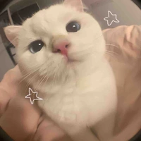 Tác Giảaaa