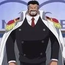 M.D.Garp