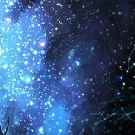 đàn em của dadan