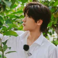 Trương Tuấn Hào 