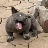 Pháo Hôi Vạn Năng