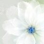 gia đình Miria